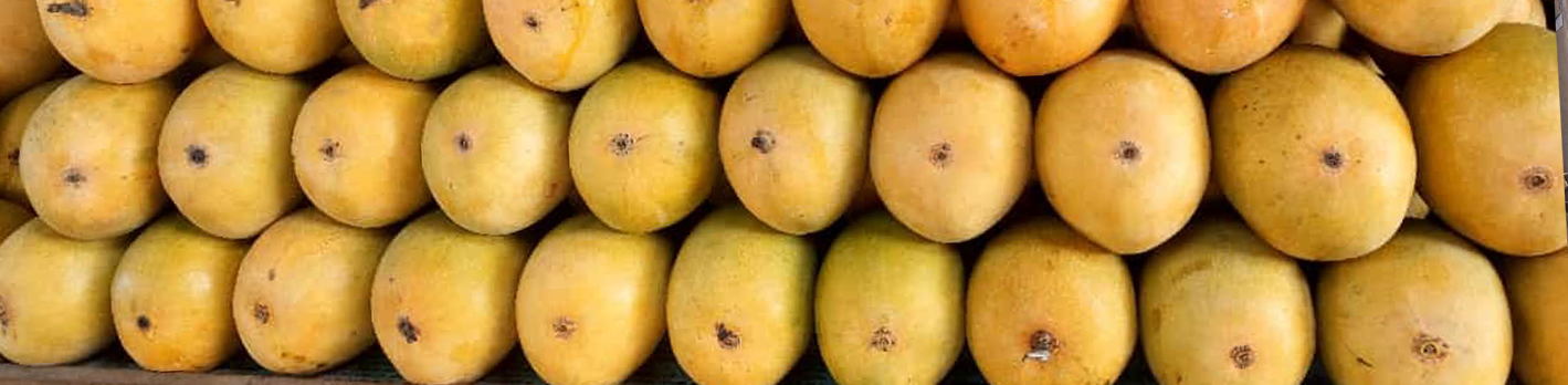 Ratnagiri Alphonso Mango